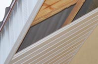 rated Hornsea soffit repair companies